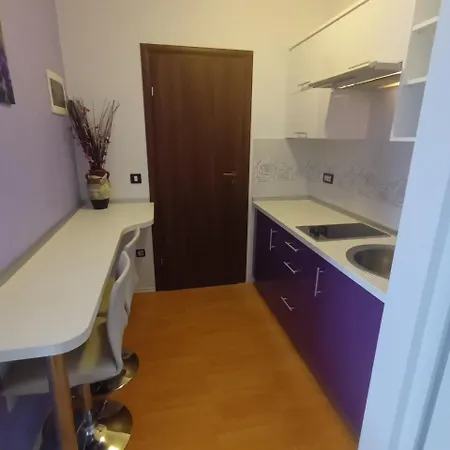 Vila House Dolly